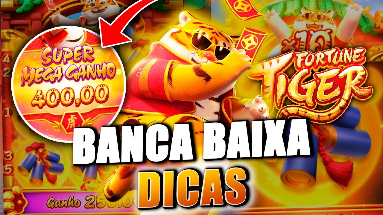 bingo online ao vivo